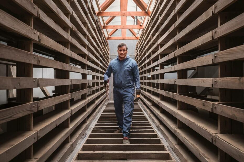 Ma charpente est-elle prête pour une rénovation toiture efficace